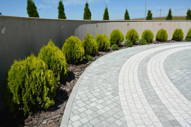 Best Driveway Paver Repairs and Restoration in Euless, TX